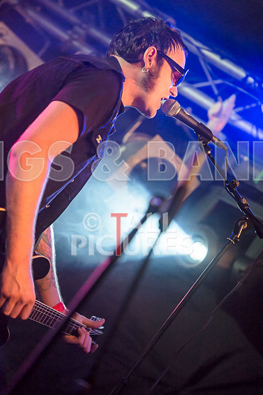 The Electric Shakes-102 - THE ELECTRIC SHAKES