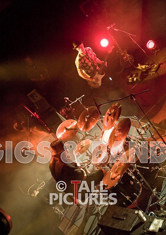 Peppered Ant Legs-41 - PEPPERED ANT LEGS at RoA-3