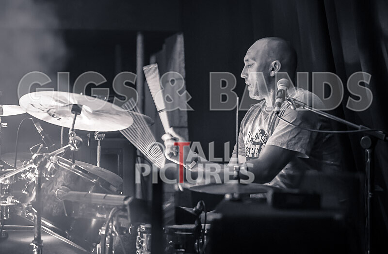 Buffalo Huddleston-574 - BUFFALO HUDDLESTON