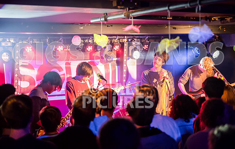 Isle Stone-41 - ISLE STONE