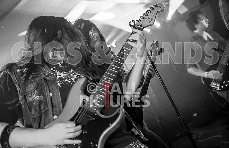 Stone Em All-238 - STONE EM ALL