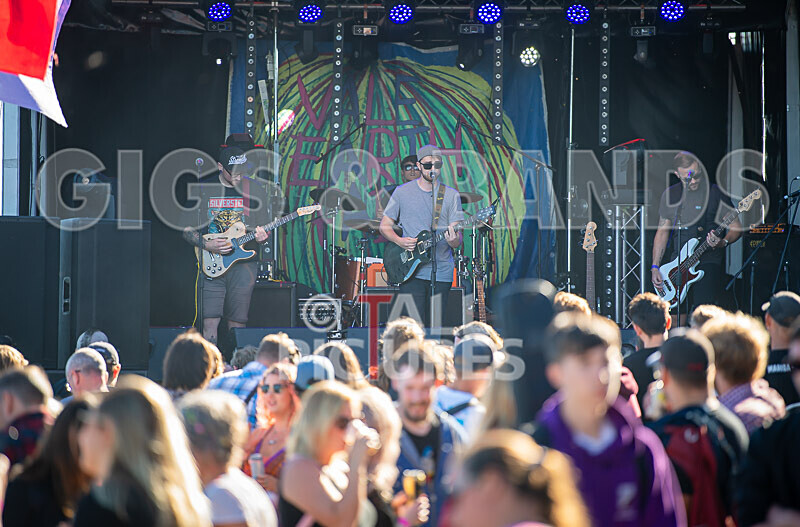 Vale Earth Fair 2020_THE SCENE-10 - VALE EARTH FAIR 2020_THE SCENE