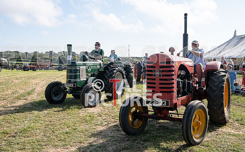 Guernsey Agricultural Show 2021-229 - GUERNSEY AGRICULTURAL SHOW 2021
