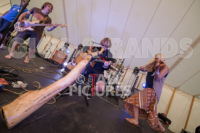 Buffalo Huddleston-295 - BUFFALO HUDDLESTON