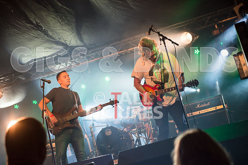 To the Woods-268 - TO THE WOODS