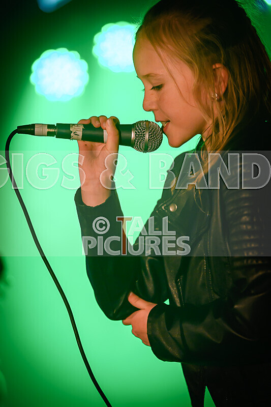 Hyperbolic Magnetism-33 - HYPERBOLIC MAGNETISM