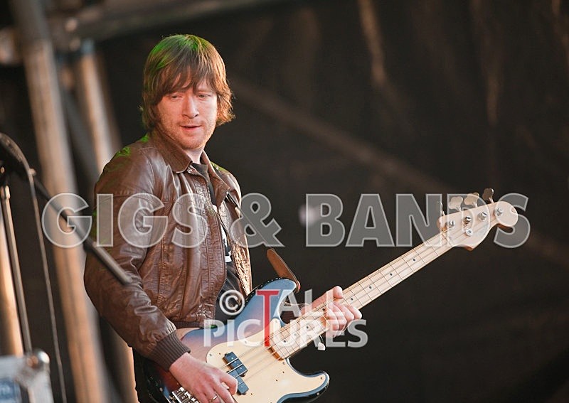 The Whip-8 - THE WHIP