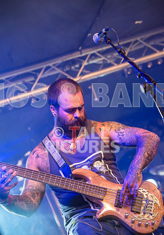 Static Alice-381 - STATIC ALICE