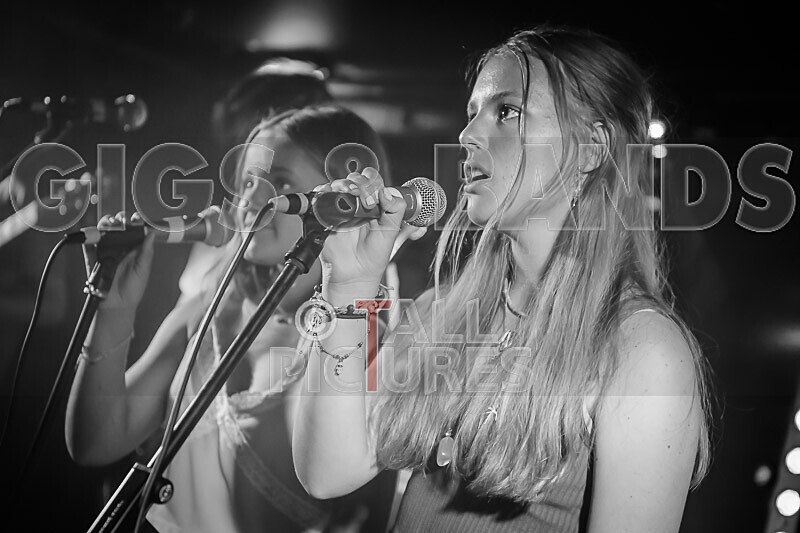 Bad Flower-2 - BAD FLOWER