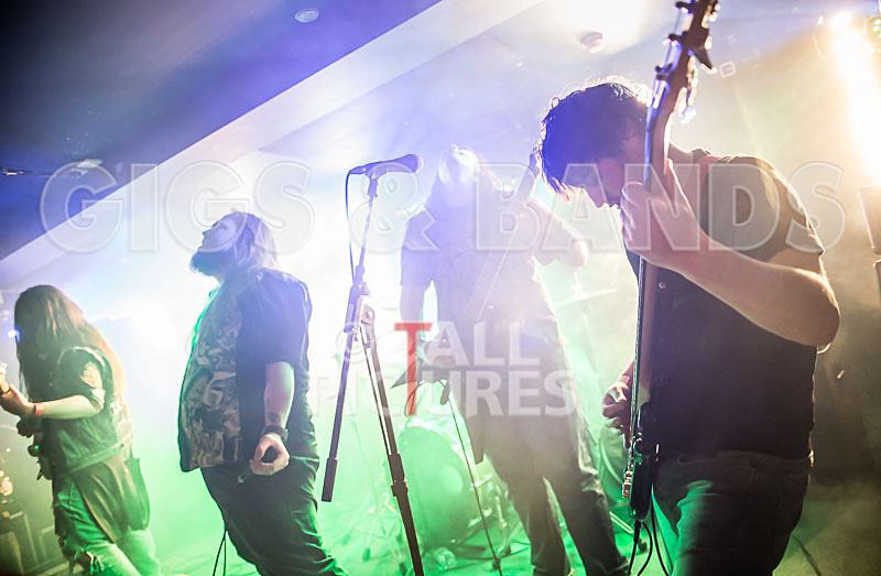 Stone Em All-201 - STONE EM ALL