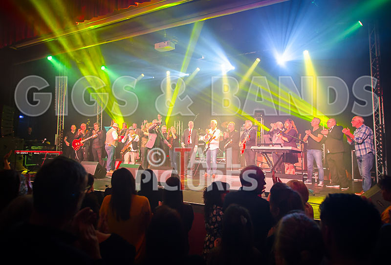 Harry Dean Junior and the New Breed-56 - HARRY DEAN JUNIOR AND THE NEW BREED