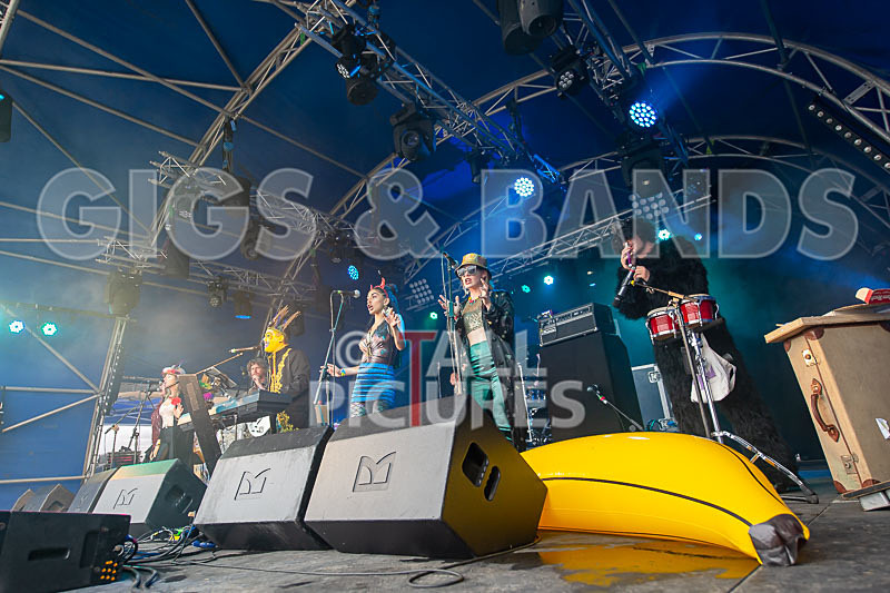 The Crack-42 - THE CRACK