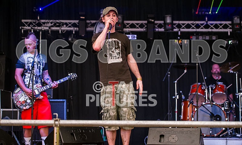 The Black Vote-49 - THE BLACK VOTE