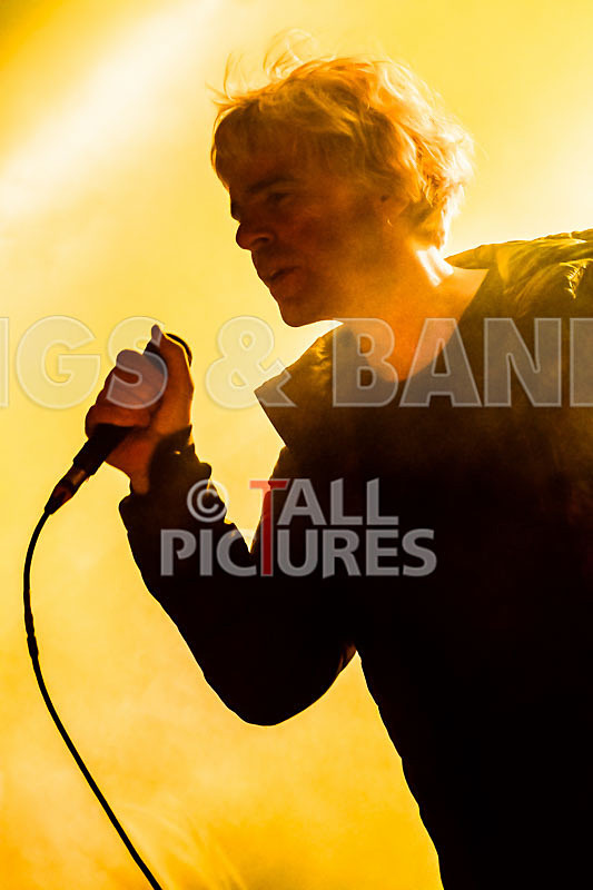 The Charlatans-123 - THE CHARLATANS