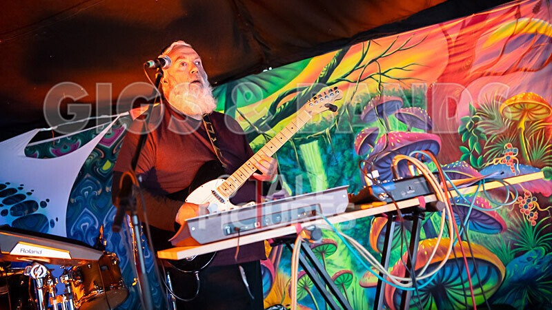 Its Own Animal-2 - ITS OWN ANIMAL