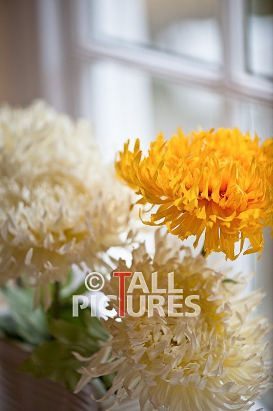 Duke of Normandie Hotel-120 - DUKE OF NORMANDIE HOTEL