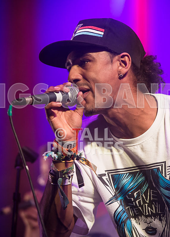 The Mouse Outfit-1 - THE MOUSE OUTFIT