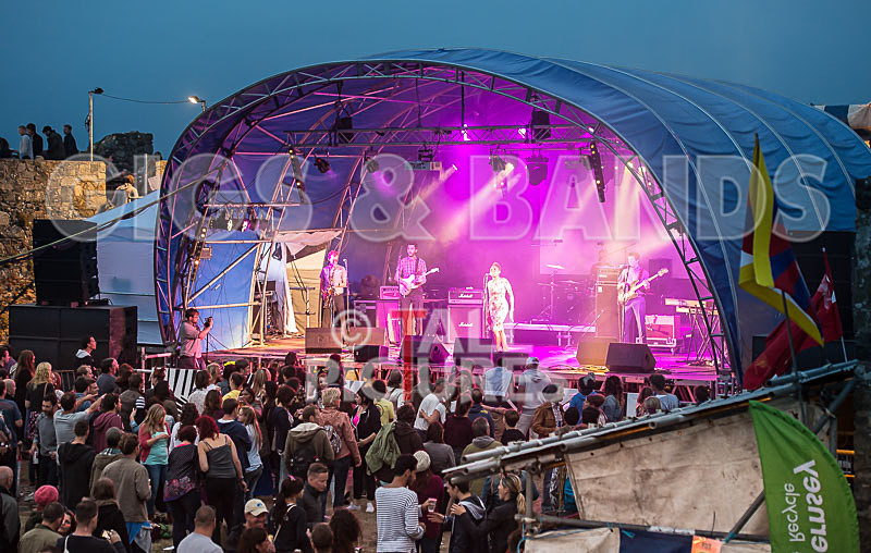 The Delegators-9 - THE DELEGATORS