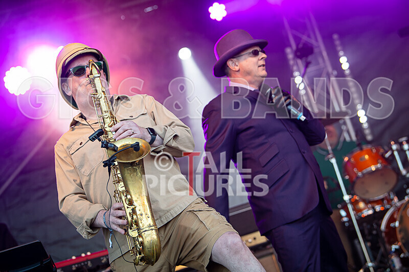 Los Palmos 6 as Madness-2 - LOS PALMOS 6 as MADNESS