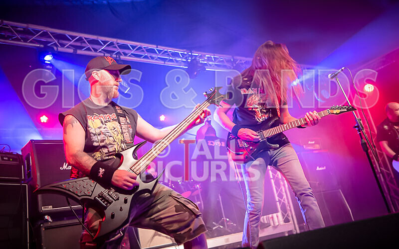 Maiden Guernsey-256 - MAIDEN GUERNSEY