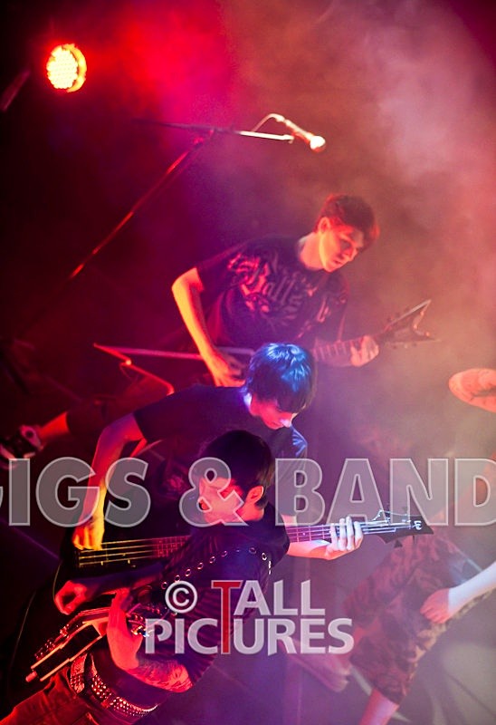 Brutus Stonefist-61 - BRUTUS STONEFIST at RoA-3