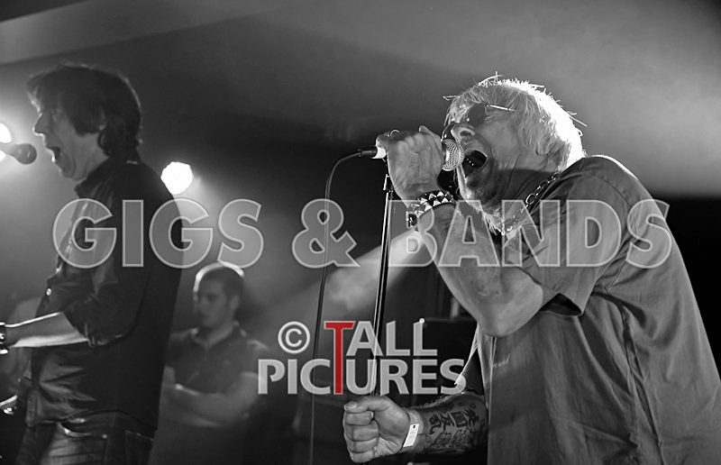 UK Subs-24 - U.K. SUBS