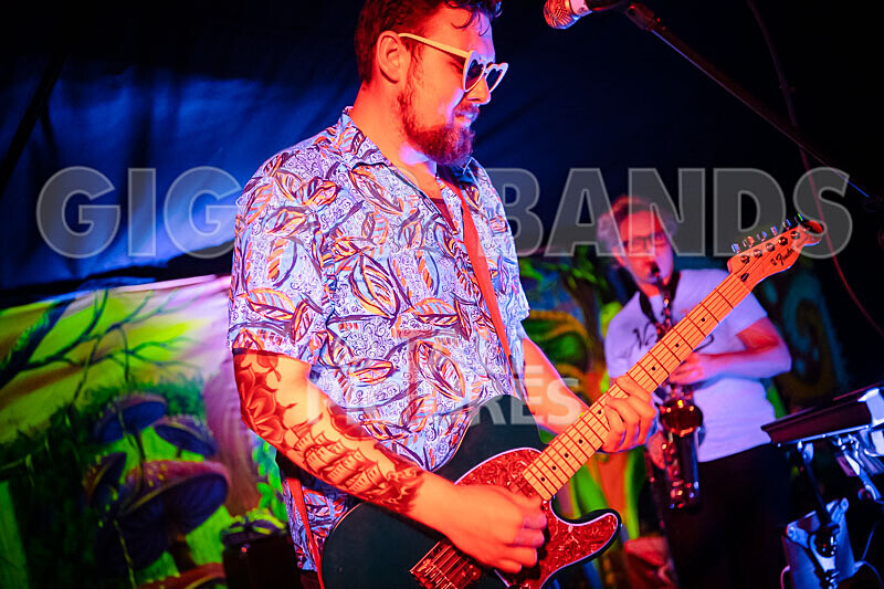 Honest Crooks-248 - HONEST CROOKS