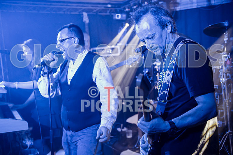 Elysium-328 - ELYSIUM