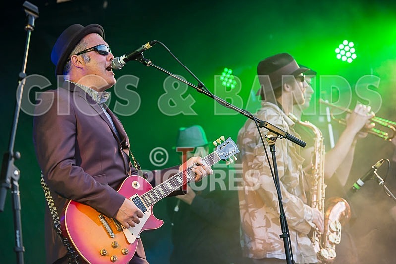 Sons of the Desert-201 - SONS OF THE DESERT