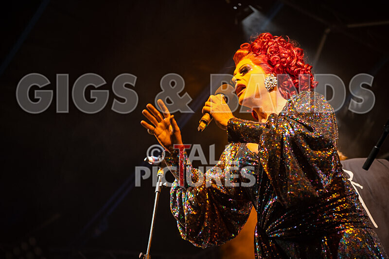 Vale Earth Fair 2020_THE SCENE-120 - VALE EARTH FAIR 2020_THE SCENE