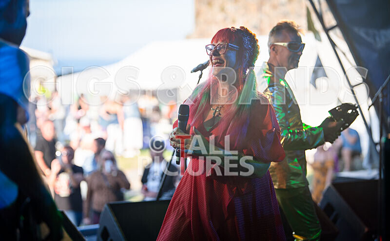 The Sacred Hearts-80 - THE SACRED HEARTS