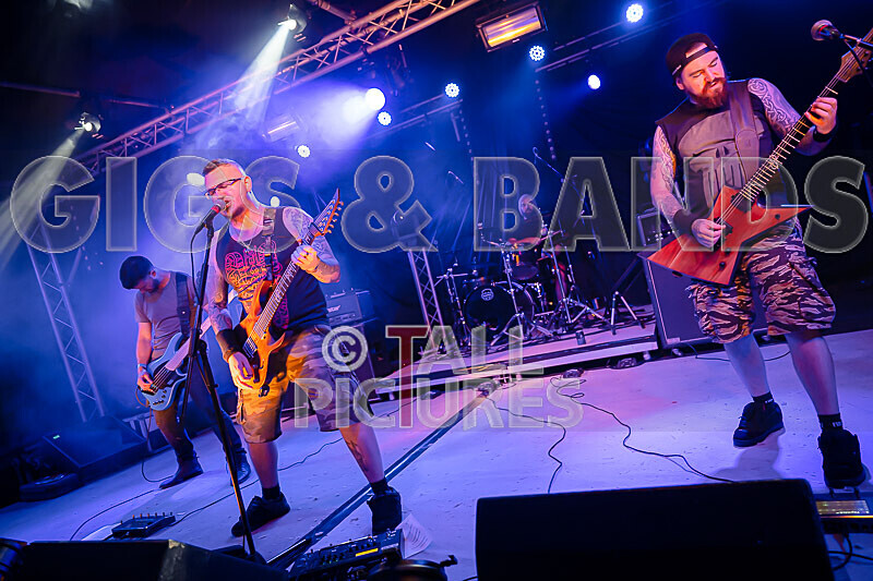 Demise of Sanity-248 - DEMISE OF SANITY