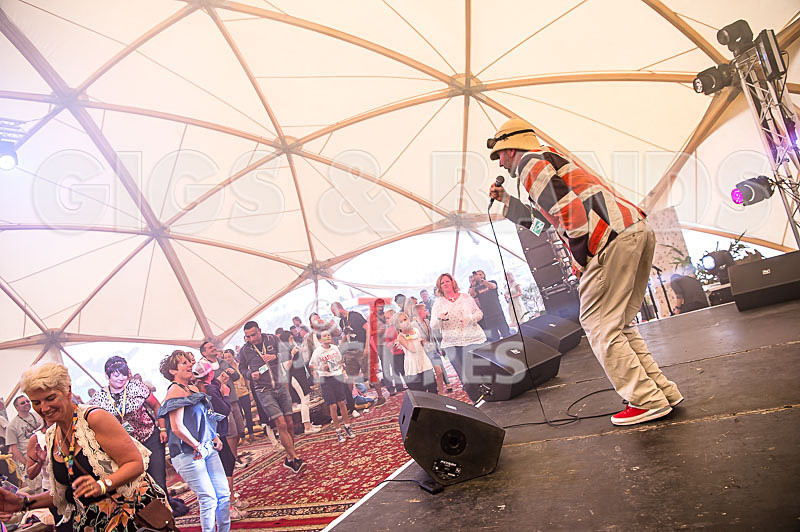 Professor Elemental-8 - PROFESSOR ELEMENTAL