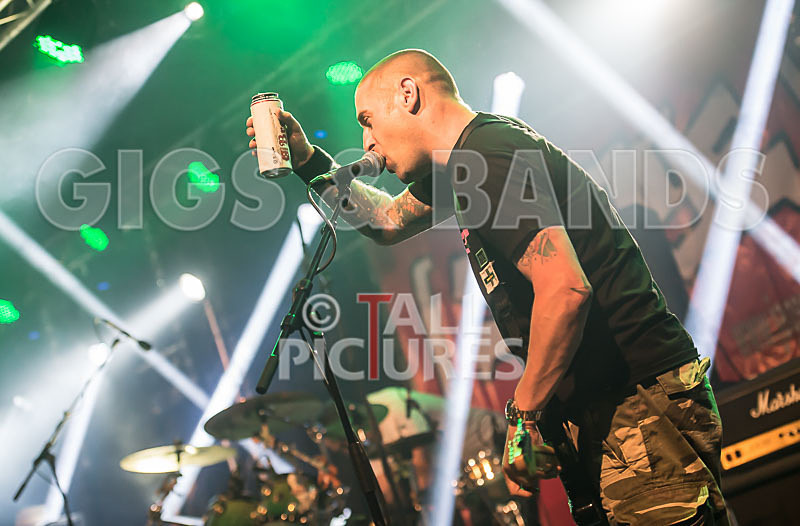 Spunge-94 - [spunge]