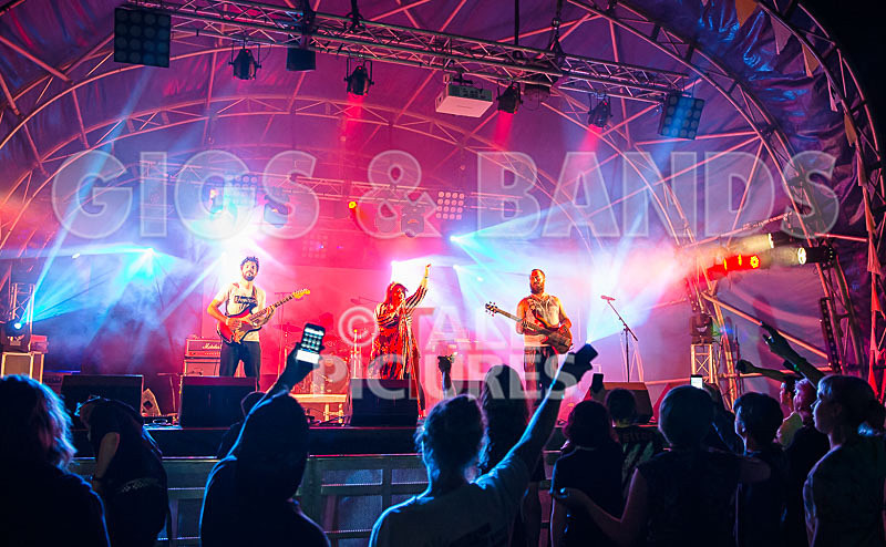 Static Alice-591 - STATIC ALICE