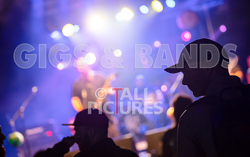 Vale Earth Fair 2018_SCENE-2 - VALE EARTH FAIR 2018_THE SCENE