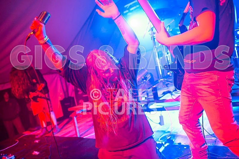 Stone Em All-91 - STONE EM ALL