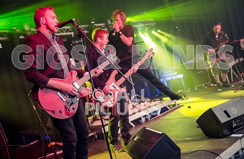 Thee Jenerators-310 - THEE JENERATORS