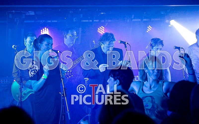 King Rat and the Soul Cats-85 - KING RAT & THE SOUL CATS