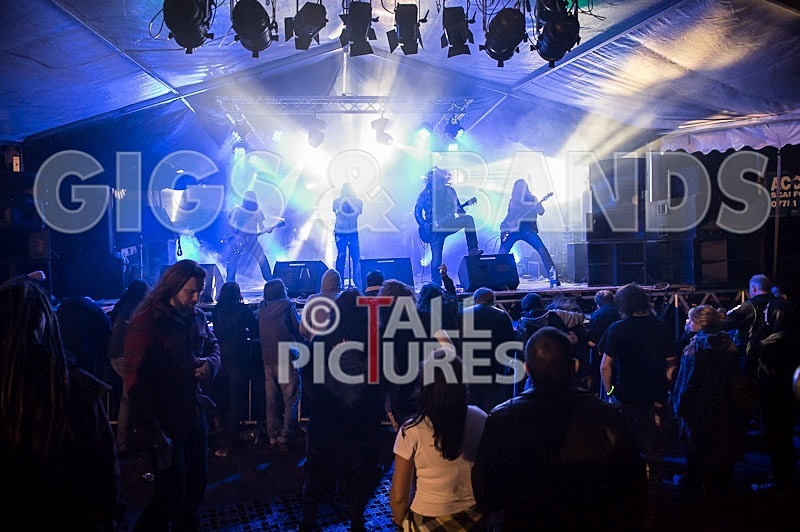 Viking Skull-3 - VIKING SKULL