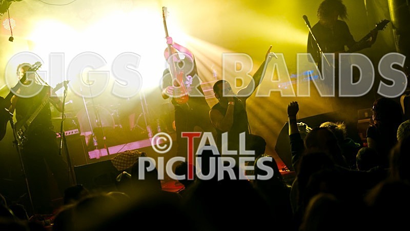 Breed77-19 - BREED77