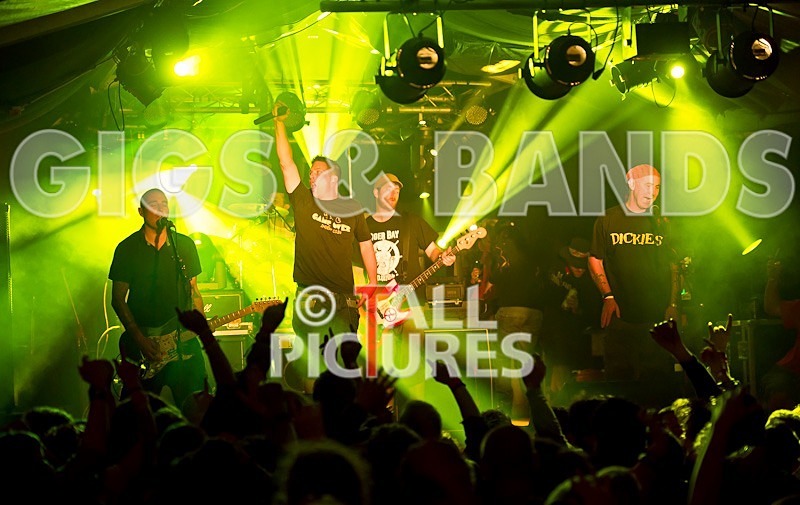 Spunge-67 - [spunge]