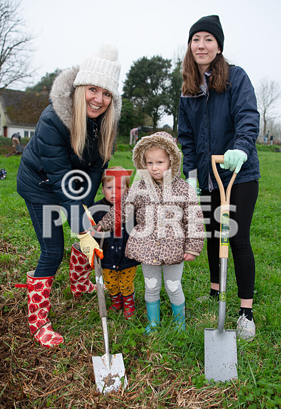 Trees for Life planting-2 - GUERNSEY TREES FOR LIFE PLANTING_2020