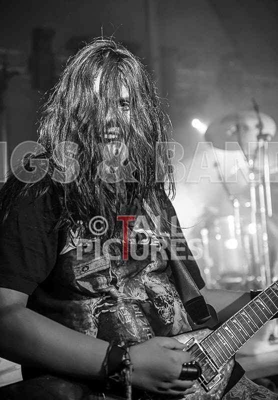 Stone Em All-57 - STONE EM ALL