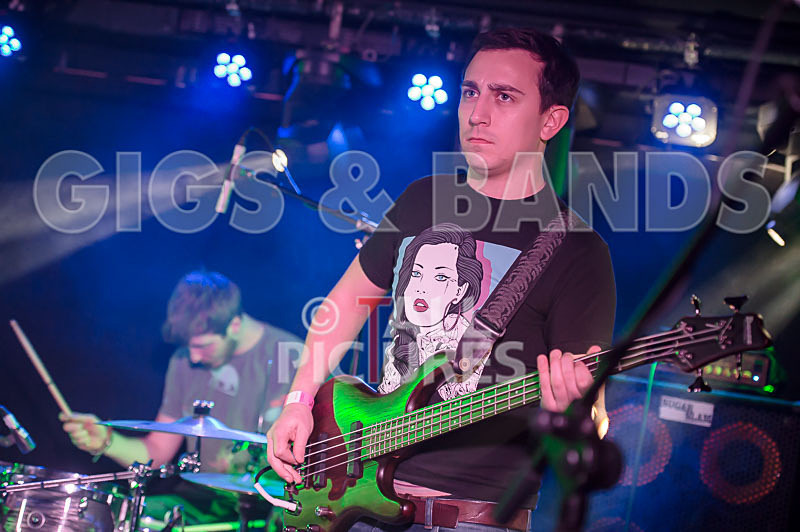 To the Woods-177 - TO THE WOODS