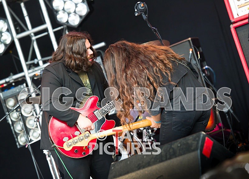 The Magic Numbers-12 - THE MAGIC NUMBERS