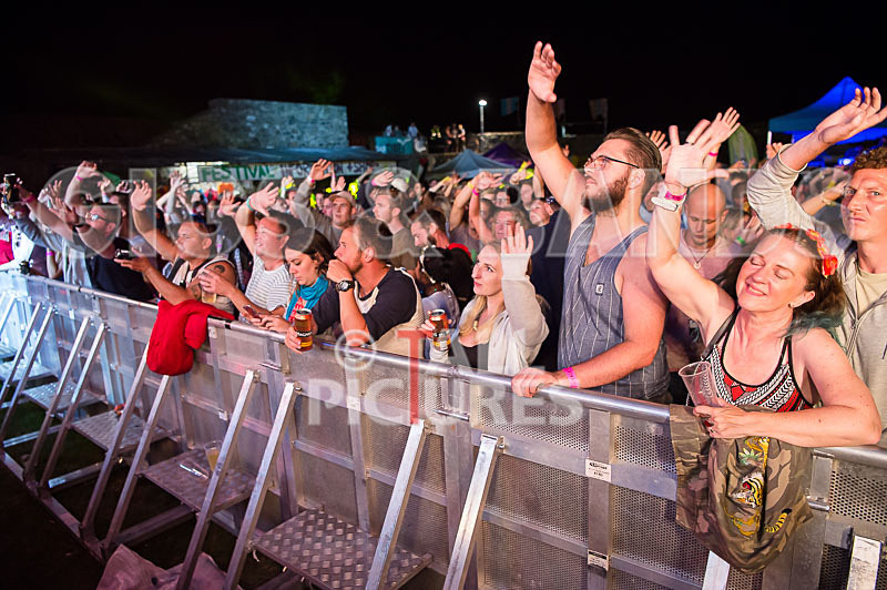 Vale Earth Fair 2017_SCENE-10 - VALE EARTH FAIR 2017_THE SCENE