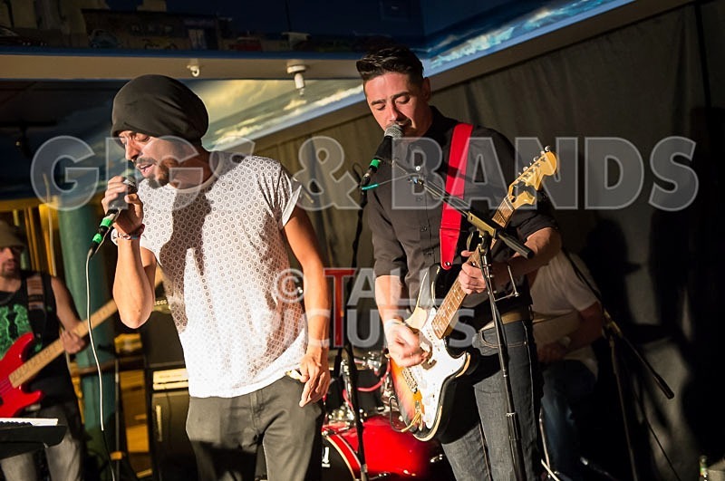 Harlequin Knights-59 - HARLEQUIN KNIGHTS