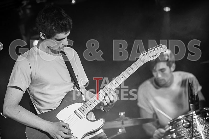 China Aster-108 - CHINA ASTER