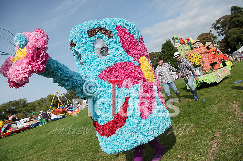 North Show 2017-18 - NORTH SHOW 2017